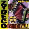 Best of Zydeco Instrumentals (CD) The Zydeco All Stars