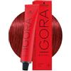 Schwarzkopf Igora Royal 6-88 60 ml