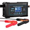 Haisito Intelligente Carica Batterie per Auto Moto 12V/24V 20A, Professionale Rapido Caricabatterie Mantenitore per Batterie al Litio, LiFePo4, Piombo-acido(AGM, GEL, EFB, SLA, VRLA)