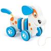 SEVI Trainabile Animali | Trudi by Sevi | Giochi in legno bimbo da un anno. Sevi Regali bambini Primi mesi | 24,7x9,8x16,3 cm | Primi giochi | modello 88042