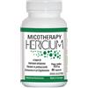 A. V. D. Reform Micotherapy Hericium 90 Capsule Flacone 53,50 G