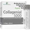 AQUA VIVA Srl collagenial 5000 10 fiale 25 ml con edulcorante