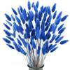 FALSKT 120pcs Fiori Secchi Decorativi Erba della Pampas Fiori Coda di Coniglio Pampas Decorative Blu Erba Code di Coniglio Essiccate Blu Pampas Secche Naturali per Decorazioni Casa Tavola Matrimonio