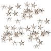 Jwthee 200 pz 10mm Borchie per Abbigliamento, Rivetti a Stella Rivetti Punk Fai da Te Lavorazione della Pelle Borchie in Metallo Punk Punte per Rivetti Chiodi Artiglio a Stella a Cinque (Argento)