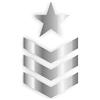 4R Quattroerre.it 17143 Adesivi Sergente Stella Army per Jeep Renegade, 11 x 20 cm, Argento, 2 Pezzi