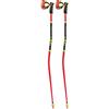 LEKI Bastoni sci WCR GS 3D