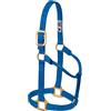 Weaver Equine Weaver Leather Original - Cavezza non regolabile, per cavallo tra 1 e 2 anni, M, blu