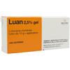 Molteni Farmaceutici Luan 2,5% Gel lubrificante per manovre endouretrali 15 g