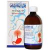 Dmg Italia Gastrotuss Sciroppo antireflusso 500 ml