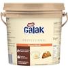 NESTLE PROFESSIONAL GALAK PROFESSIONALE Crema Spalmabile al Cioccolato Bianco, Secchiello 3kg
