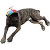 GEANBAYE Cappelli per cani con elica divertente, dimensioni e corda, doppia regolazione, per cani di taglia piccola, media e grande (iridescente)