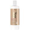 Schwarzkopf Blondme All Blondes Light Shampoo 1000ml