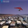 Pink Floyd A Momentary Lapse of Reason: Remixed & Updated (Vinyl LP) 12" Album