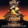 52733 Zucchero