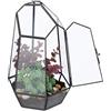 Relaxdays Terrario Piante, Mini Serra in Vetro e Rame, HLP 26x18x15 cm, Piantine Grasse e Muschi, Vaso Ecosistema, Nero