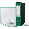 ESSELTE G55 EUROFILE Registratore - f.to protocollo dorso 8 cm - Verde