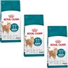 Royal Canin Ageing Sterilised 11+ | Confezione Tripla | 3 x 400 g | Cibo secco per gatti sterilizzati a partire dagli 11 anni | Formula con HealthyAge7™ Complex