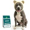 Furhaven Cappello per cani taglia M Flex-Fit Polar Bear Sherpa Halloween Costume, lavabile, crema, M