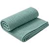 RETIEF Asciugamano Microfibra Waffle 250 GSM - Microfibra 2.0 Ultra Assorbente e Morbida - Telo Palestra, Doccia e Viso Quick Dry - 40x60 50x100 75x150 cm (M, verde acqua)