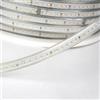 Zarivy Nastro LED flessibile da 1 m, 9 W, 4000 K, 220 V. Modello Freya IP65 da 14 mm e 900 lm. Impermeabile e con 120 LED per un'illuminazione efficiente e duratura. Ideale per qualsiasi spazio.
