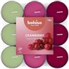 Bolsius - 18 Lumini Profumati - mirtillo rosso - Durata di Combustione di 3.5 Ore - Diametro 38 mm - Estratti Naturali - Contiene Cera Vegana - Senza Olio di Palma