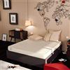 Baldiflex , Materasso Matrimoniale Easy 160 x 190 cm, Cotone Ortopedico