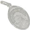 AFP Madonna Ciondolo in Argento 925
