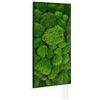 Könighaus pannello riscaldante a infrarossi - 800 Watt | 5 anni di garanzia | Doppia protezione surriscaldamento | Corpo ultrapiatto per 11-21 m² | Colore cornice: nero | Motivo: 07. Muschio