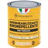 Proxinova Idrorepellente Trasparente - Impermeabilizzante Terrazzi Protettivo Contro Acqua e Sporco per Pietra, Cemento e Piastrelle - Sigillante per Pavimenti, Facciate, Terrazze e Tetti