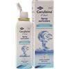 IBSA FARMACEUTICI ITALIA Srl CERULISINA Fast Adulti & Bambini Spray Auricolare Detersione dell'orecchio 100ml