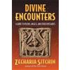 Zecharia Sitchin Divine Encounters (Copertina rigida)
