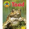 Ruth Owen Wildlife Watchers: Toad (Tascabile) Ruby Tuesday Readers
