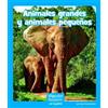 Ann Corcorane Animales Grandes Y Animales Pequeños (Big and Small An (Tascabile)