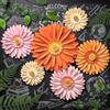 Easy Joy Set da 6 Decorazioni da Parete con Margherite 3D, Decorazioni Floreali in Carta, Fiori Artificiali per la Festa della Mamma, Decorazioni da Parete per Il Soggiorno, la Camera da Letto