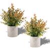 LEUCHTAMOR 2 piante artificiali piccole, giallo piante finte in vaso, piante artificiali per ufficio, soggiorno, camera da letto, bagno, cucina, casa, decorazione interna