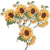 PACKOVE 5 Pz Adesivi in Tessuto di Girasole Ferro di Girasole sulla Simpatiche Toppe da Cucire Girasoli Toppe Termoadesive Pantaloni Tessuto Non Tessuto Cartone Animato