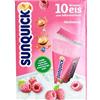 Sunquick - lampone acqua ghiacciata per l'auto-congelamento (10x60ml)