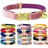 Defgeph Collare per gatti personalizzato, con targhetta e numero di telefono, inciso, per gattini, cuccioli, velluto, L (20cm-32cm), Chiusura oro + rosa