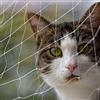 Pet Prime Rete di protezione per gatti per balcone, 6 x 3 m, rete di protezione per gatti, per esterni, balcone, scale, porta finestra, animali domestici, dimensioni invisibili, L
