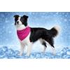 Flamingo Cane Collare - bandana rinfrescante rosa M 70x25 cm - poliestere traspirante - effetto rinfrescante - 3 strati - assorbente - estate - tipo tappetino refrigerante cane