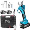 SEESII 800W Bürstenlose Astschere Akku, Akku Gartenschere mit 2 x 4,0Ah Akkus, 40mm Schnittstärke, SK5 Klingen, Elektrische Astschere für Garten, Obstbäume und Weinreben