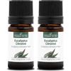 La Compagnie des Sens EUCALIPTO LIMONE BIO - 5mL - Olio Essenziale di Qualità Premium - 100% Puro, Naturale, certificato ChromaCert® - Chemotipato e Integrale (Confezione da 2)