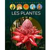 Fleurus Les plantes