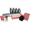 Febi Bilstein Kit Ispezione 1,4 Diesel Ford Fiesta 68PS Incl. 4 L Olio 5W30 Castrol 57911222