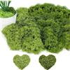 PacuM Schiuma naturale e artificiale DIslanda 100 g per fai da te, falso tappeto erboso esterno morbido e realistico riutilizzabile per composizioni floreali, lavori manuali, verde scuro e verde chiaro
