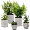 TOSAVGA 5 Pezzi Piccole Piante Artificiali In Vaso Plastica, Piante Finte da Interno, Piantine Finte Decorative con Vasetto, Piantina Finta, Succulenti Artificiali, Pianta Artificiale per Interni, Vaso Verdi