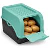 ARTECSIS® 1 x contenitore per patate con coperchio 4 kg (verde menta), scatola per verdure e alimenti con 6 etichette