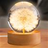 GBKDQQ Sfera di cristallo con dente di leone, 60 mm, lampada a sfera di vetro con base in legno, decorazione sfera di cristallo, leone in vetro, luce notturna con illuminazione a LED, regalo per donne
