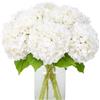 JUSTOYOU Fiori di ortensia artificiali, 3 pezzi, fiori di ortensie realistiche a stelo lungo singolo, 40 cm, grandi ortensie finte al tatto, per matrimoni, feste in casa (fiori di ortensia bianca)