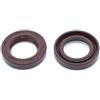 ZCDYGHU Motore per Barca per Yamaha 2 Tempi 40HP paraolio Albero elica fuoribordo 93101-22M00 93101-22067